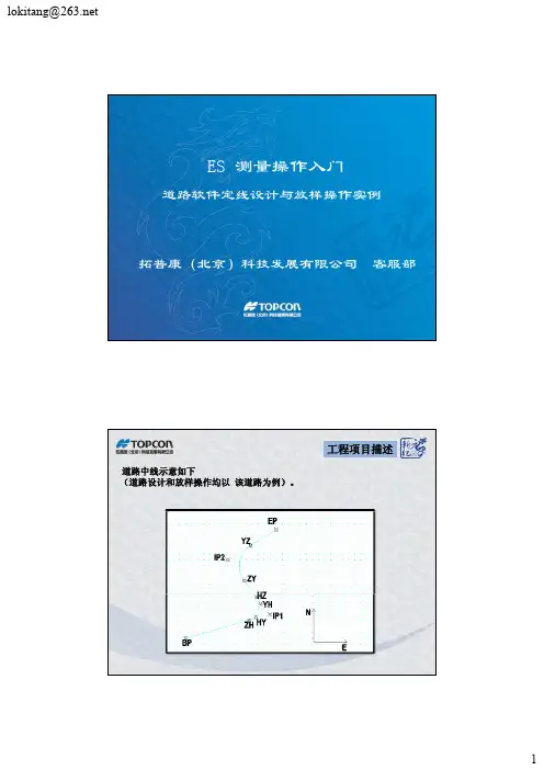 定线设计与放样操作示例
