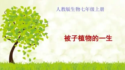 人教版生物七年级上册《被子植物的一生》课件
