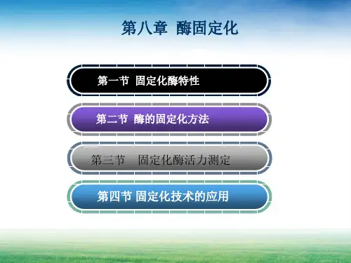 酶固定化