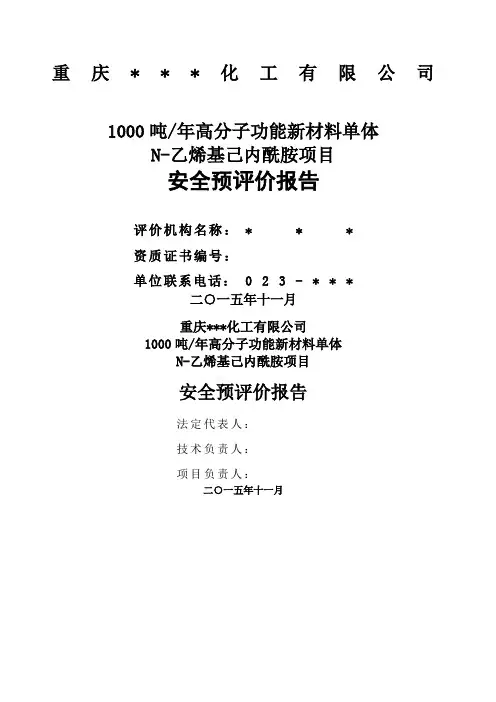 项目安全预评价报告