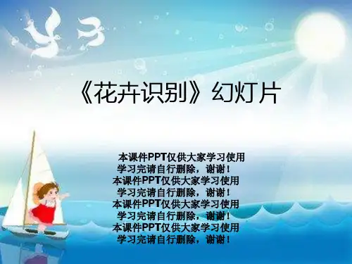 《花卉识别》幻灯片