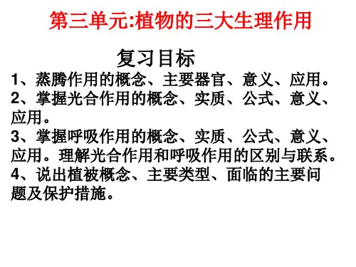 人教版七年级上册：植物的三大作用复习课件