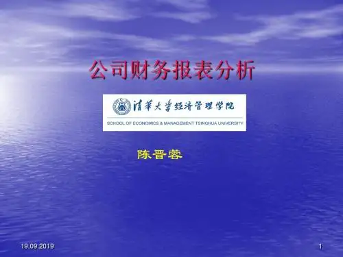 公司财务报表分析(清华经管 陈晋蓉)-精品文档24页