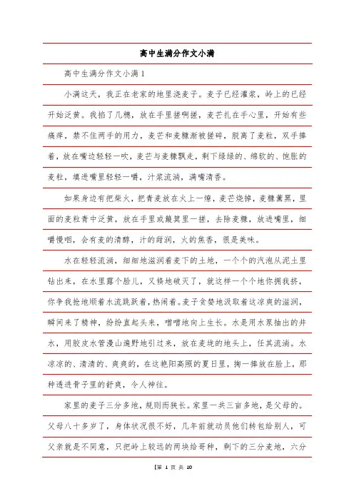 高中生满分作文小满