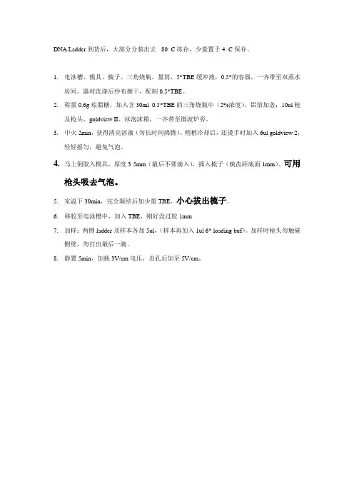 琼脂糖凝胶电泳