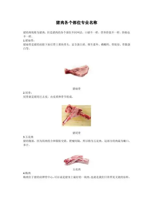 猪肉各个部位专业名称