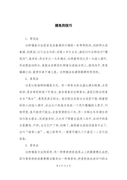 捕鱼的技巧