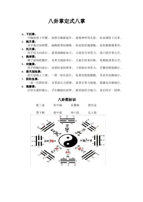 定式八掌