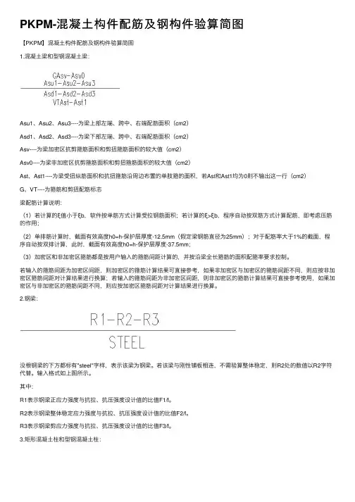 PKPM-混凝土构件配筋及钢构件验算简图