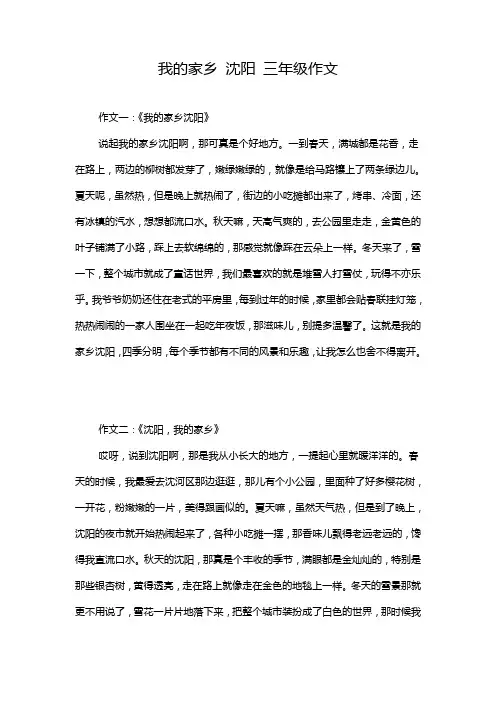 我的家乡 沈阳 三年级作文