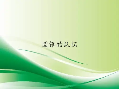 六年级数学下册课件-3.2.1 圆锥的认识-人教版(共17张PPT) (1)