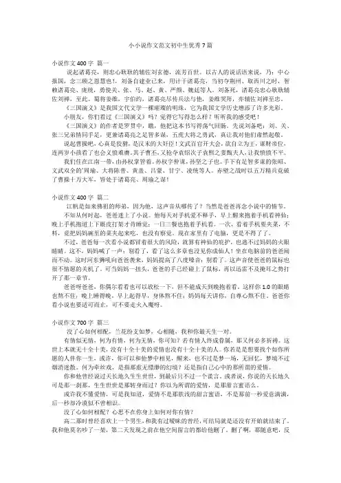 小小说作文范文初中生优秀7篇