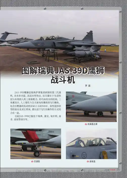 图解瑞典JAS-39D鹰狮战斗机