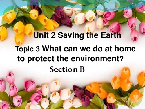 仁爱英语九年级上册Unit2Topic3SectionB