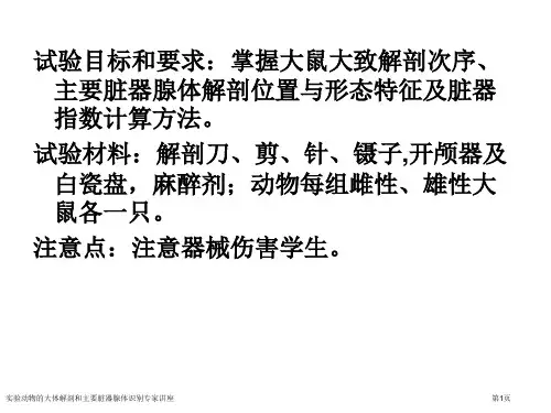 实验动物的大体解剖和主要脏器腺体识别专家讲座