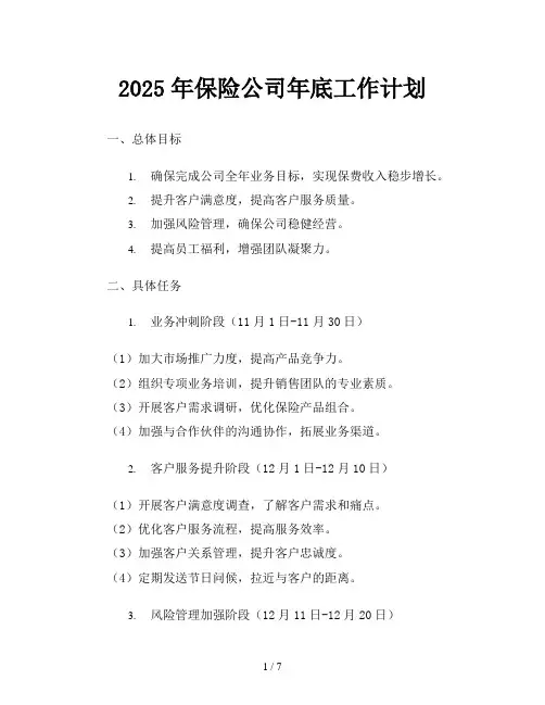 2025年保险公司年底工作计划