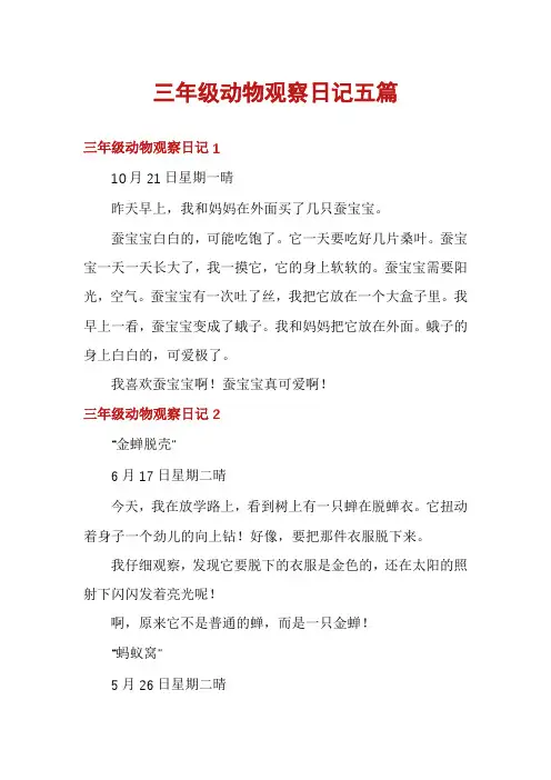三年级动物观察日记五篇