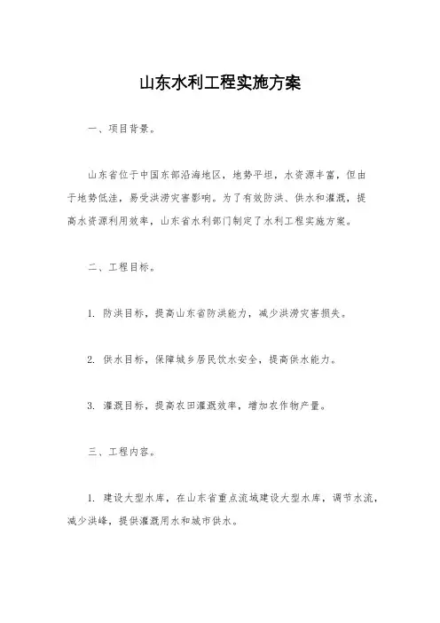 山东水利工程实施方案
