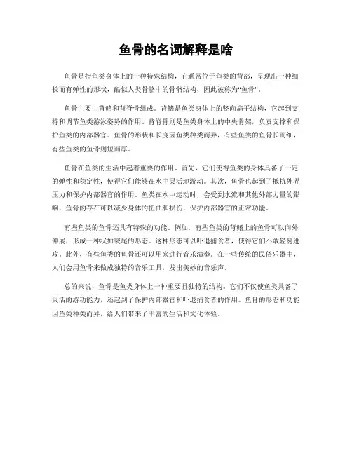 鱼骨的名词解释是啥
