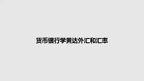 货币银行学黄达外汇和汇率PPT教案