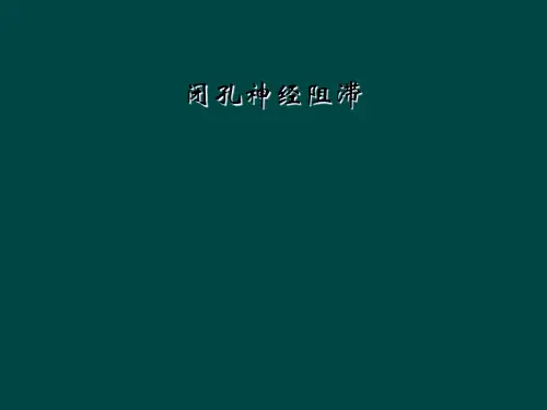 闭孔神经阻滞