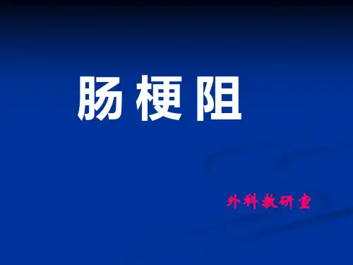 肠梗阻