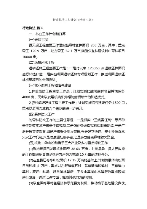 行政执法工作计划（精选4篇）