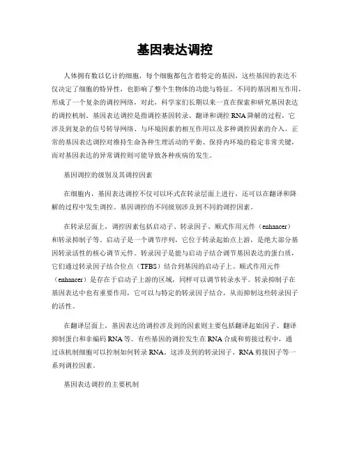 基因表达调控