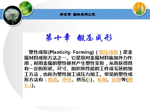 第10章_锻造成形分析