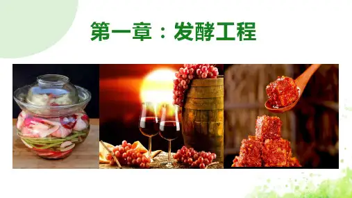 传统发酵技术的应用课件-高二生物人教版选择性必修3