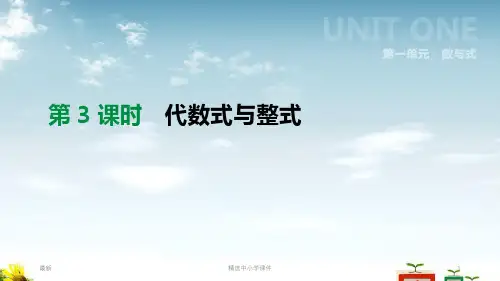 精选-中考数学总复习第一单元数与式第03课时代数式与整式课件