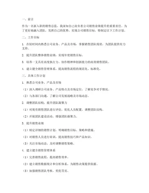 新入职销售总监工作计划