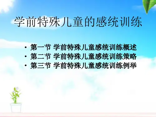 学前特殊儿童的感觉统合训练