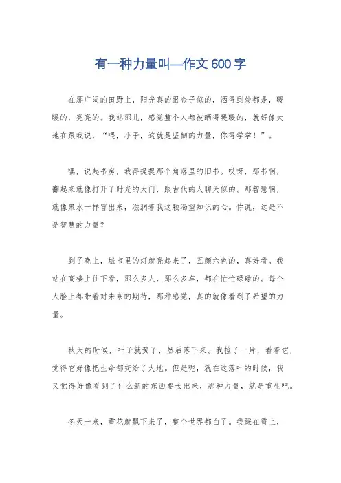 有一种力量叫—作文600字