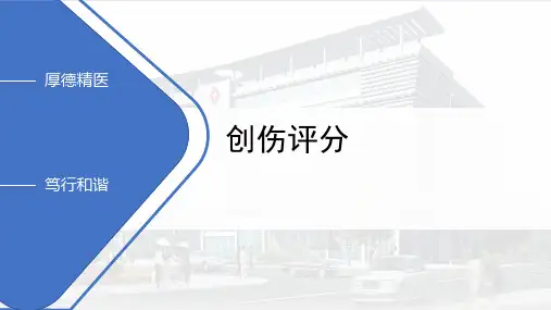 创伤评分PPT