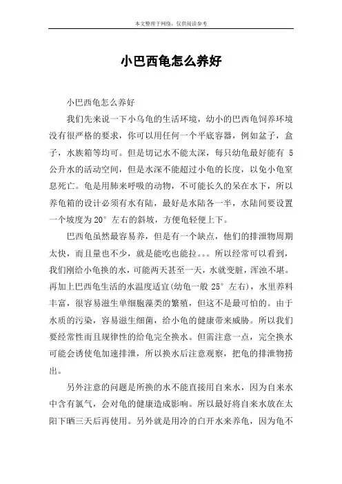 小巴西龟怎么养好