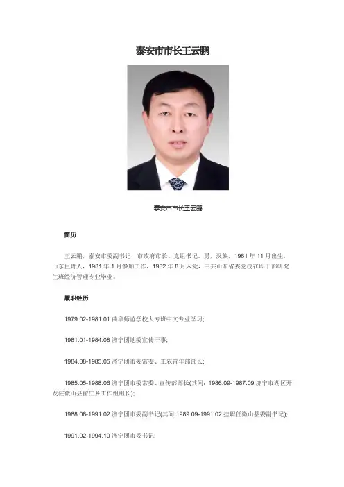 泰安市市长王云鹏简历