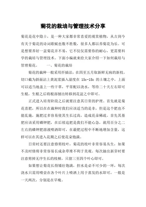 菊花的栽培与管理技术分享