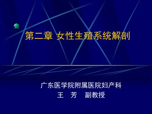 1.(1女性生殖系统解剖)