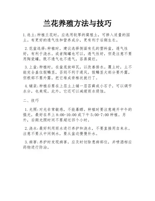 兰花养殖方法与技巧