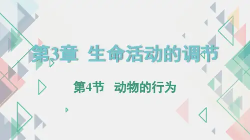 动物的行为(PPT课件(初中科学) 34张)