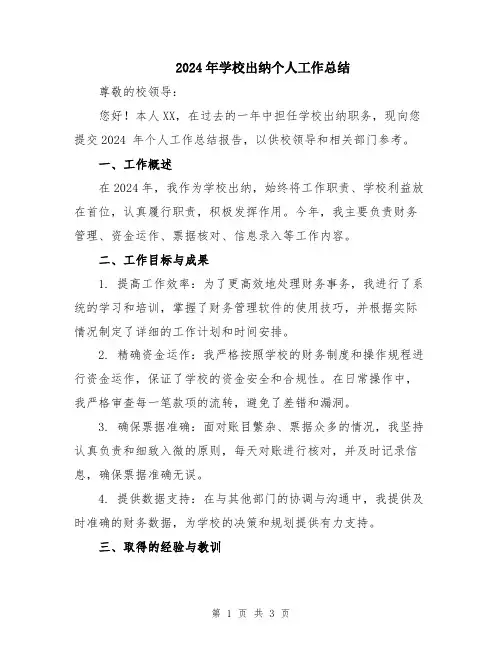 2024年学校出纳个人工作总结