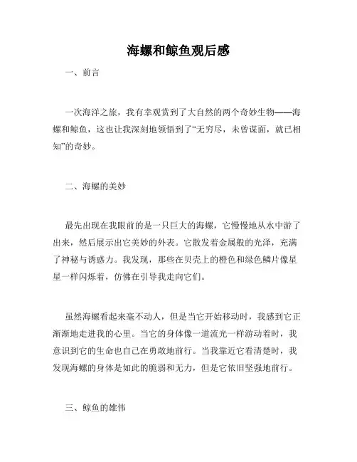海螺和鲸鱼观后感