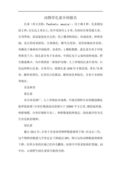 动物学孔雀介绍报告