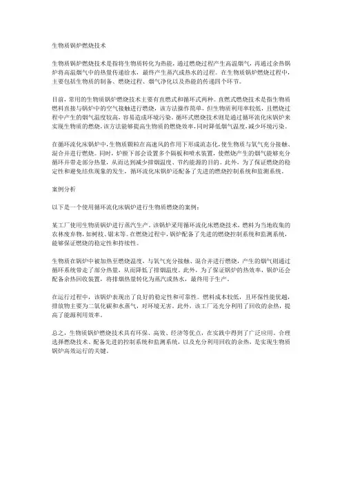 生物质锅炉燃烧技术及案例