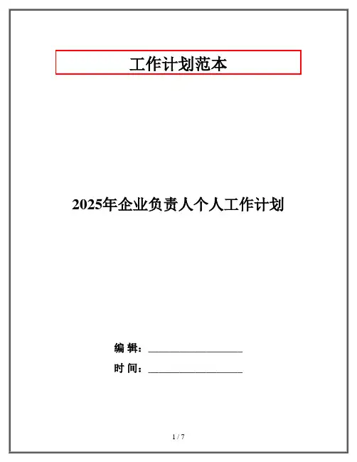 2025年企业负责人个人工作计划