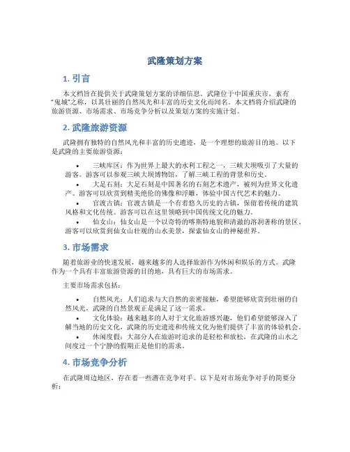 武隆策划方案
