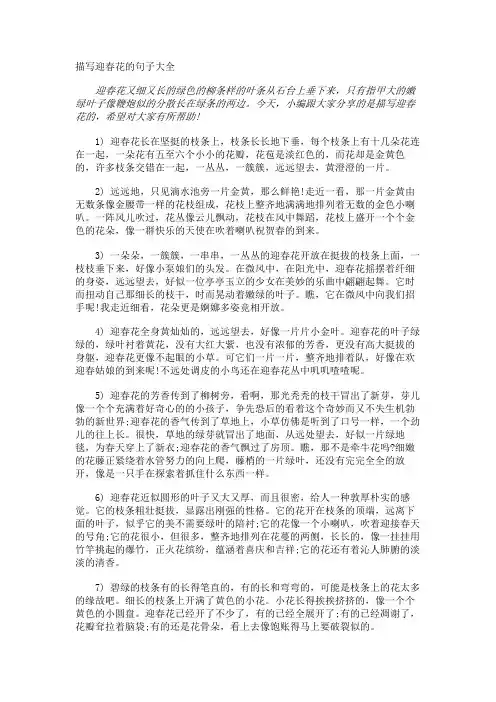 描写迎春花的句子
