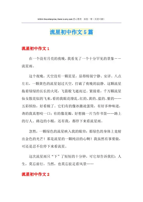 流星初中作文5篇