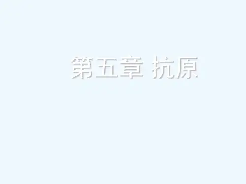 抗原的类型